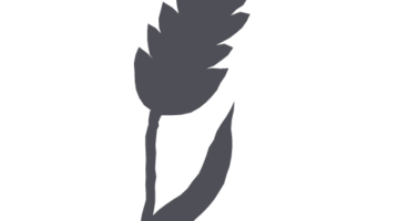 CuBocan_Icons_Barley_Black.png