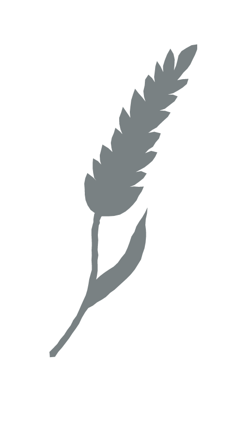 CuBocan_Icons_Barley_Grey.png